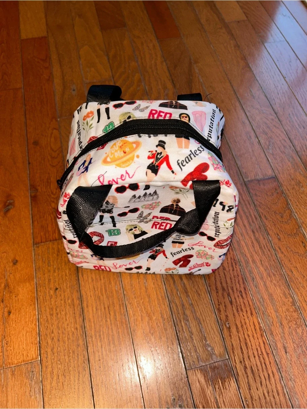 Taylor Swift Inspired Insulated Lunch Tote | Lover • Red • 1989 •Fearless